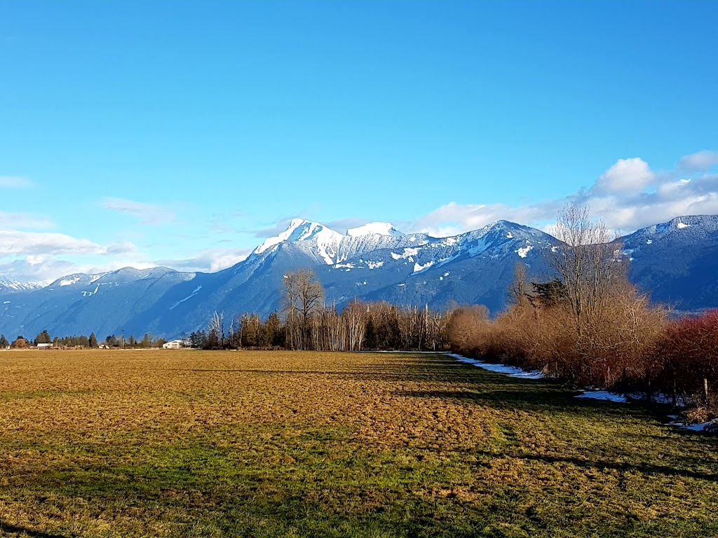 Ernco Exteriors Ltd | 9161 Prest Rd, Chilliwack, BC V2P 8E1, Canada | Phone: (604) 795-3777