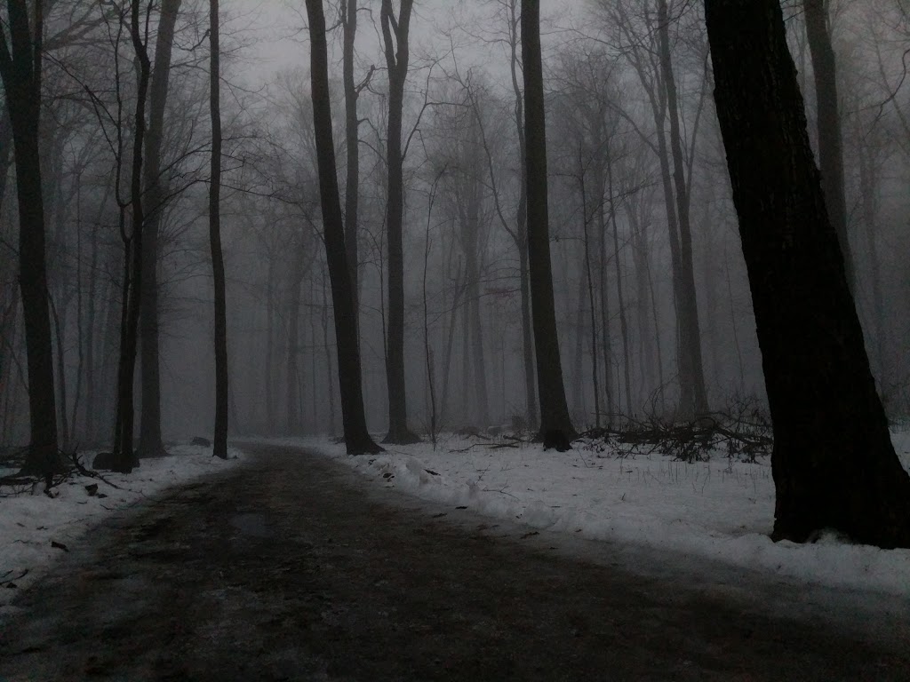 Sugarbush Park | Waterloo, ON N2L, Canada