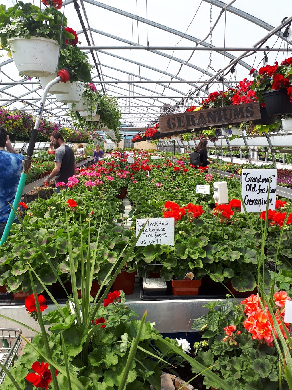 Lowland Gardens | 8844 Nova Scotia Trunk 2, Great Village, NS B0M 1L0, Canada | Phone: (902) 668-2309