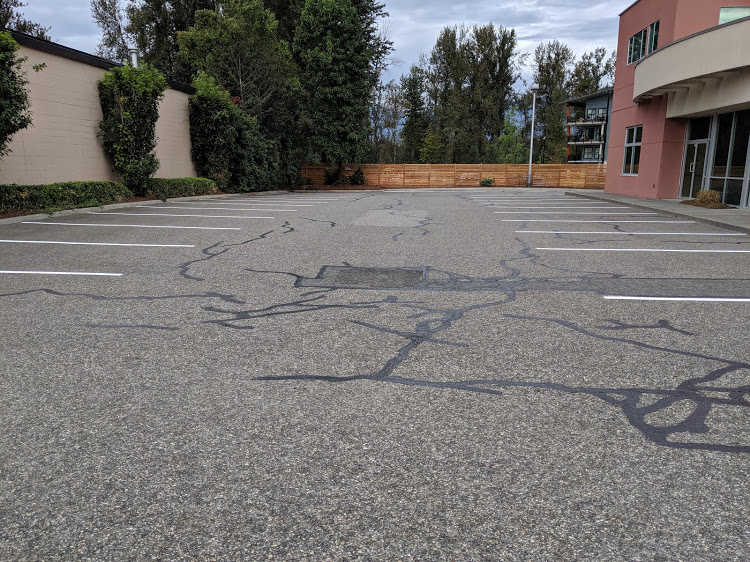 ACS Asphalt & Concrete Sealing | 49575 Elk View Rd, Chilliwack, BC V4Z 1E8, Canada | Phone: (604) 378-2938
