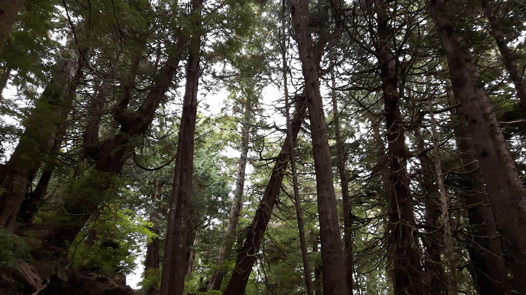 Parks Canada | Bamfield, BC V0R 1B0, Canada | Phone: (250) 728-3244