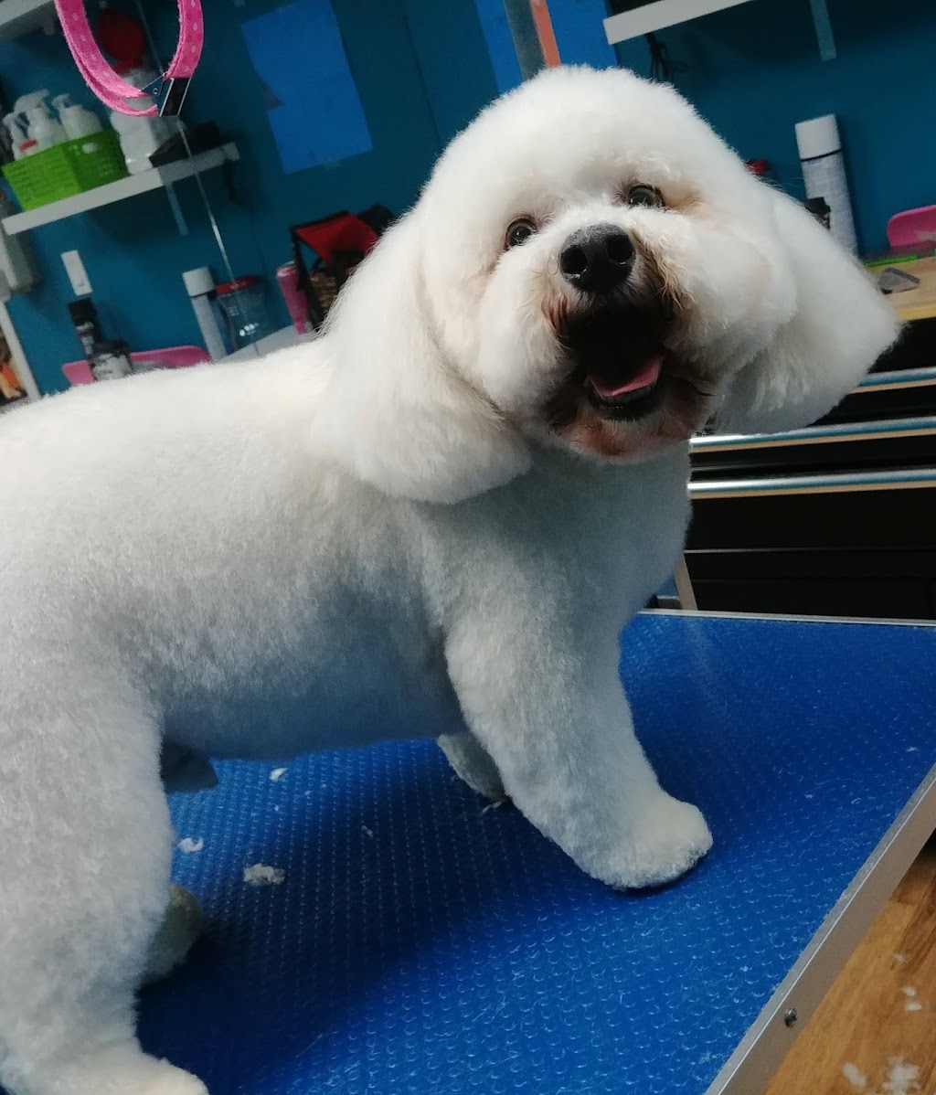 Fur the Love of Dogs | 591 Wallace St, Hope, BC V0X 1L4, Canada | Phone: (604) 206-0023