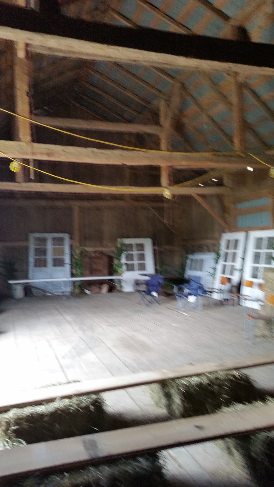 Otter Greenhouses | 315 Medd Rd, Port Perry, ON L9L 1B2, Canada | Phone: (905) 852-4187