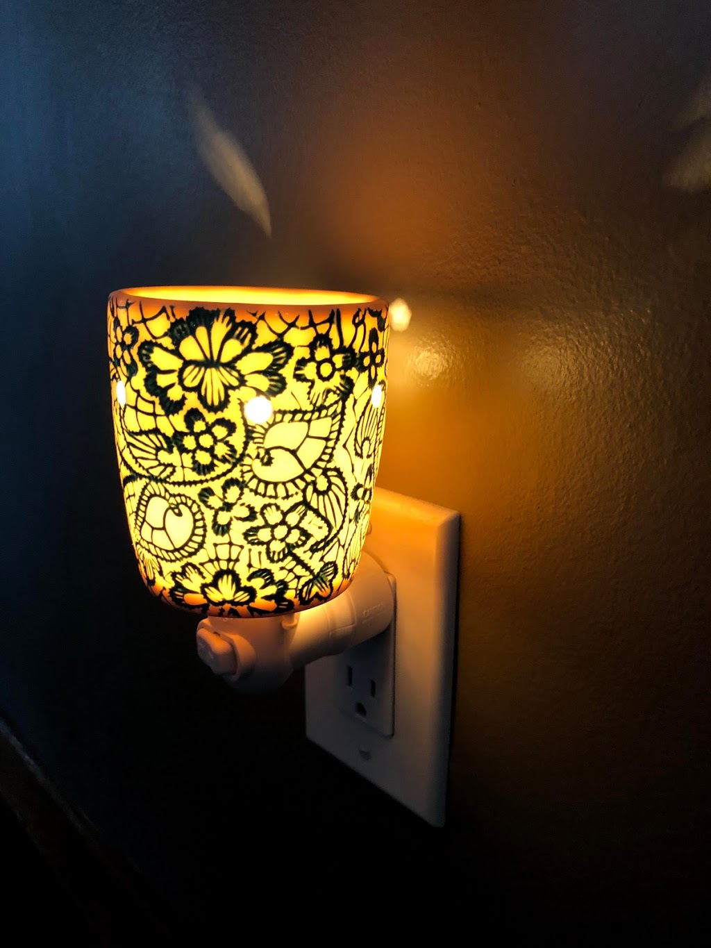 Terri-Lyn Independent Scentsy Consultant | 302 Johnston Rd, Kemptville, ON K0G 1J0, Canada | Phone: (613) 293-0271