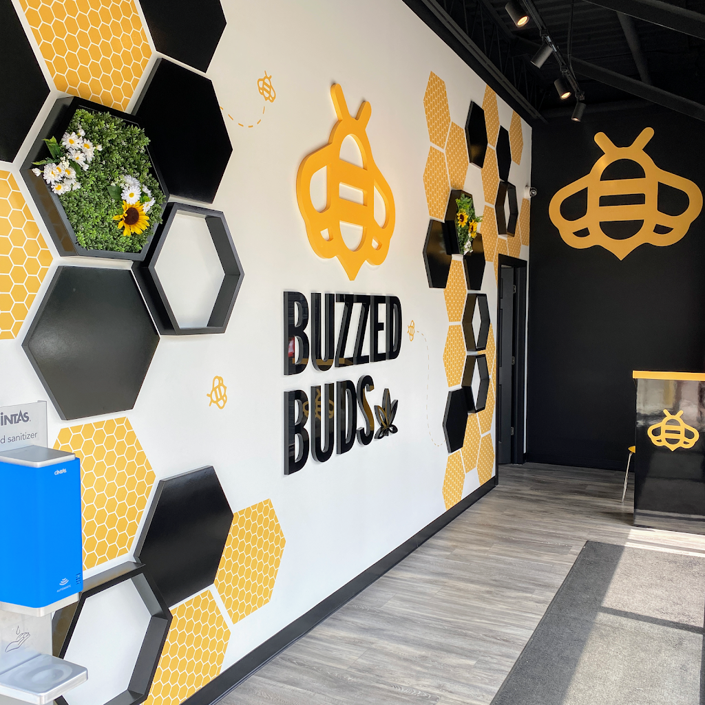 Buzzed Buds Cannabis Pickering | store | 1278 Kingston Rd Unit B, Pickering, ON L1V 1B7, Canada | 9054923900 OR +1 905-492-3900