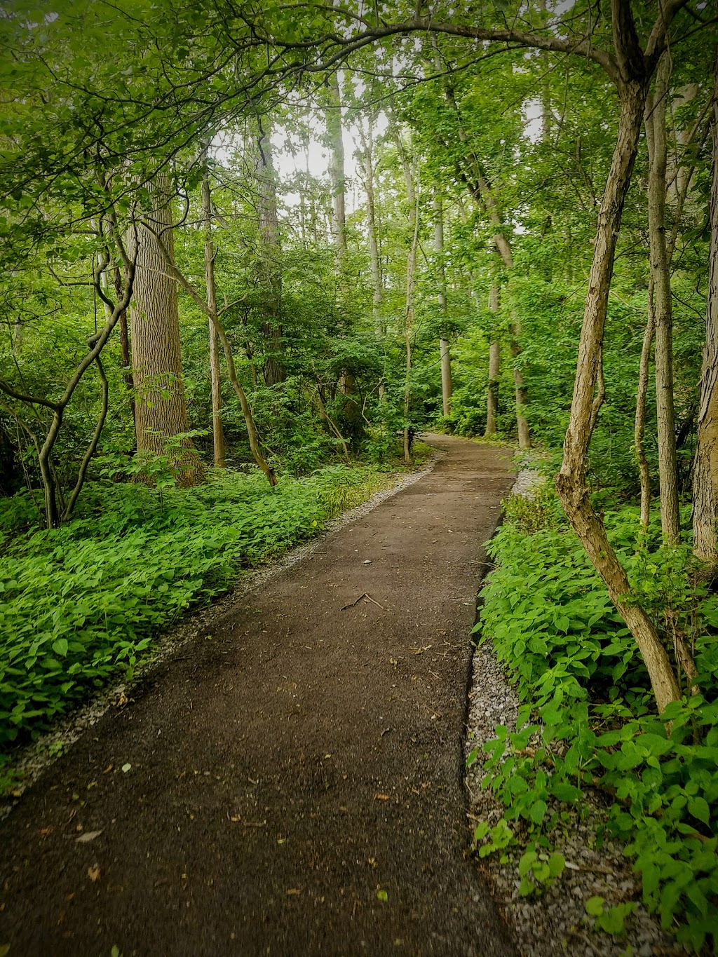 Spicer Creek Wildlife Preserve | 3071-3219 E River Rd, Grand Island, NY 14072, USA