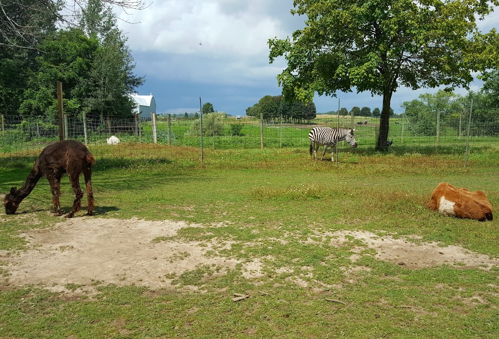 Oshawa Zoo | 3377 Grandview St N, Oshawa, ON L1H 8L7, Canada | Phone: (905) 655-5236