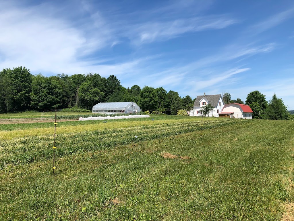 Les jardins de Perséphone | 44 6e Rang, Wotton, QC J0A 1N0, Canada | Phone: (514) 431-5189