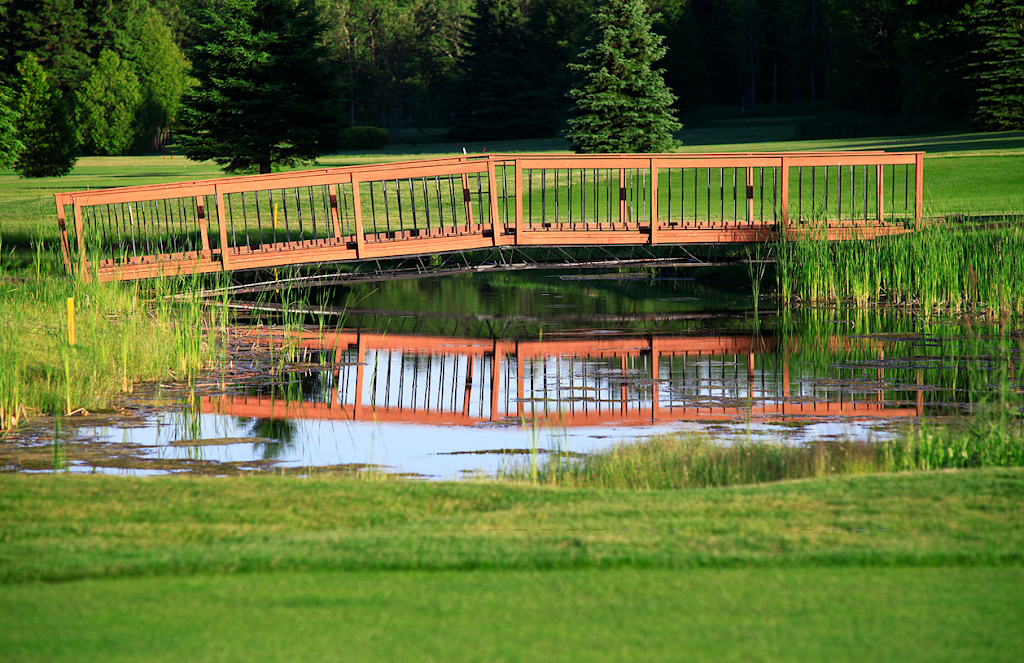 Duntroon Highlands Golf Club | 1226 Concession 10 N Nottawasaga Rd, Duntroon, ON L0M 1H0, Canada | Phone: (705) 445-3554