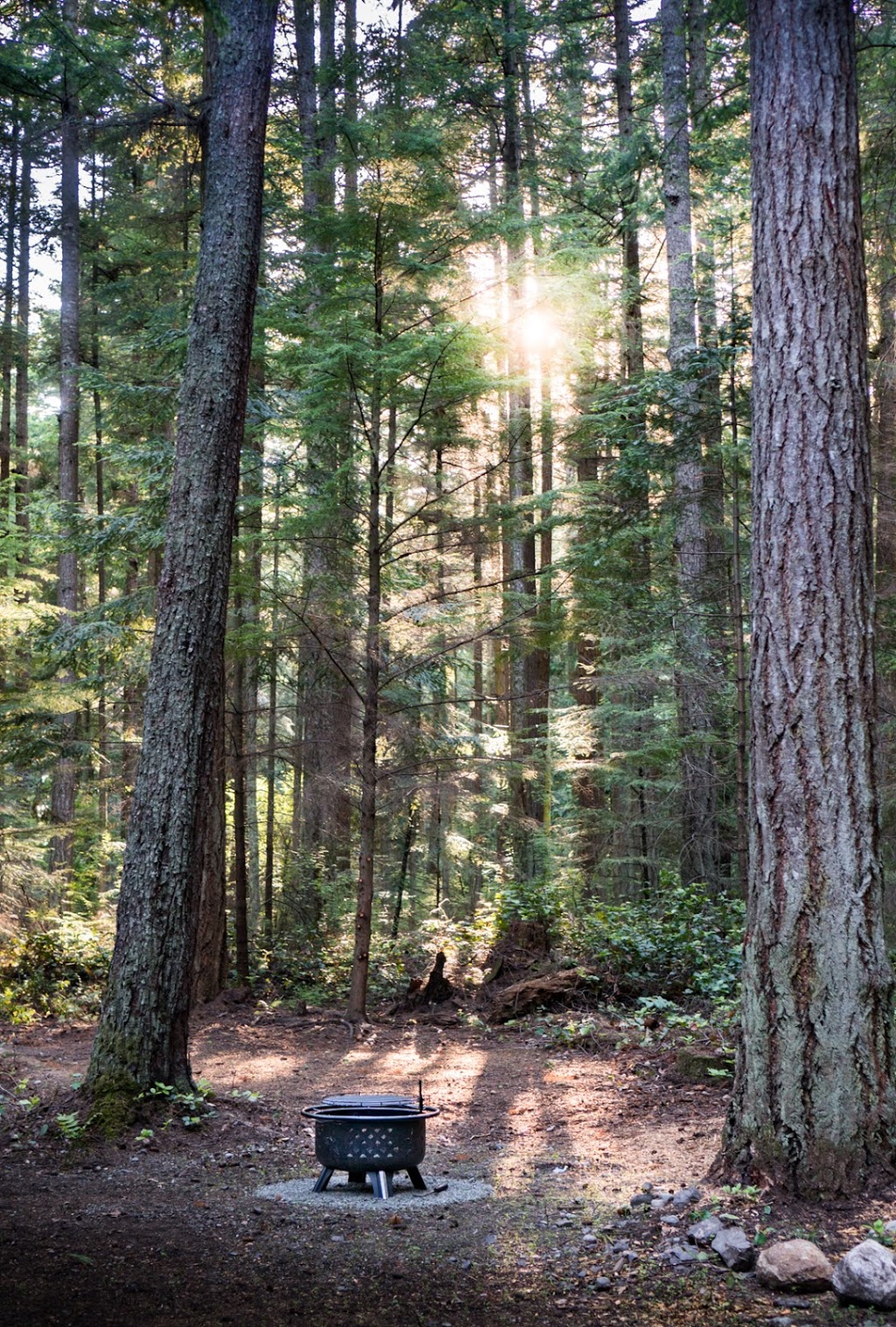 Mount Baker Farm and Campground | 706 Mt Baker Rd #2065, Eastsound, WA 98245, USA | Phone: (360) 376-2425