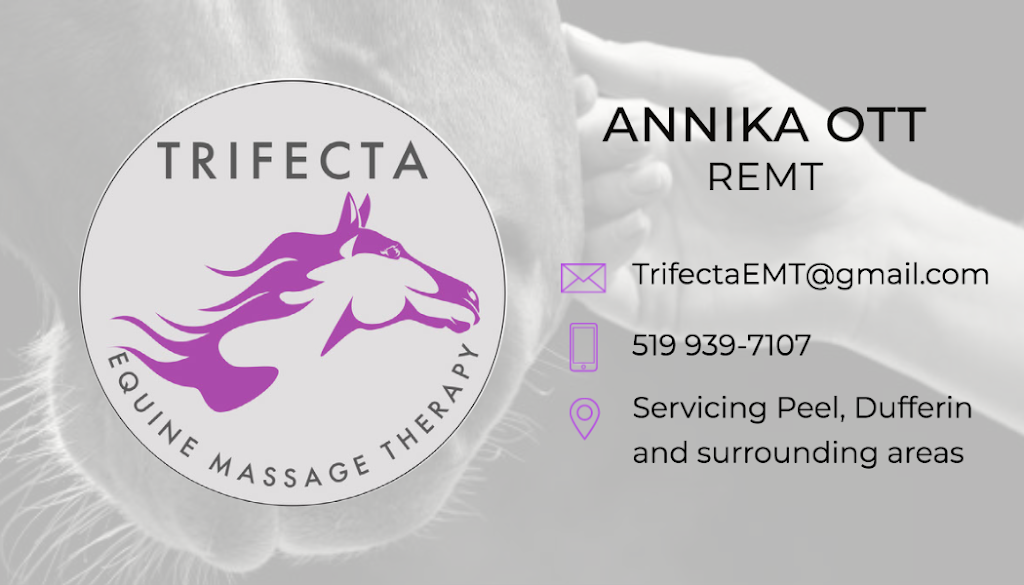 Trifecta Equine Massage Therapy | 19620 Heart Lake Rd, Caledon, ON L7K 1Z9, Canada | Phone: (519) 939-7107