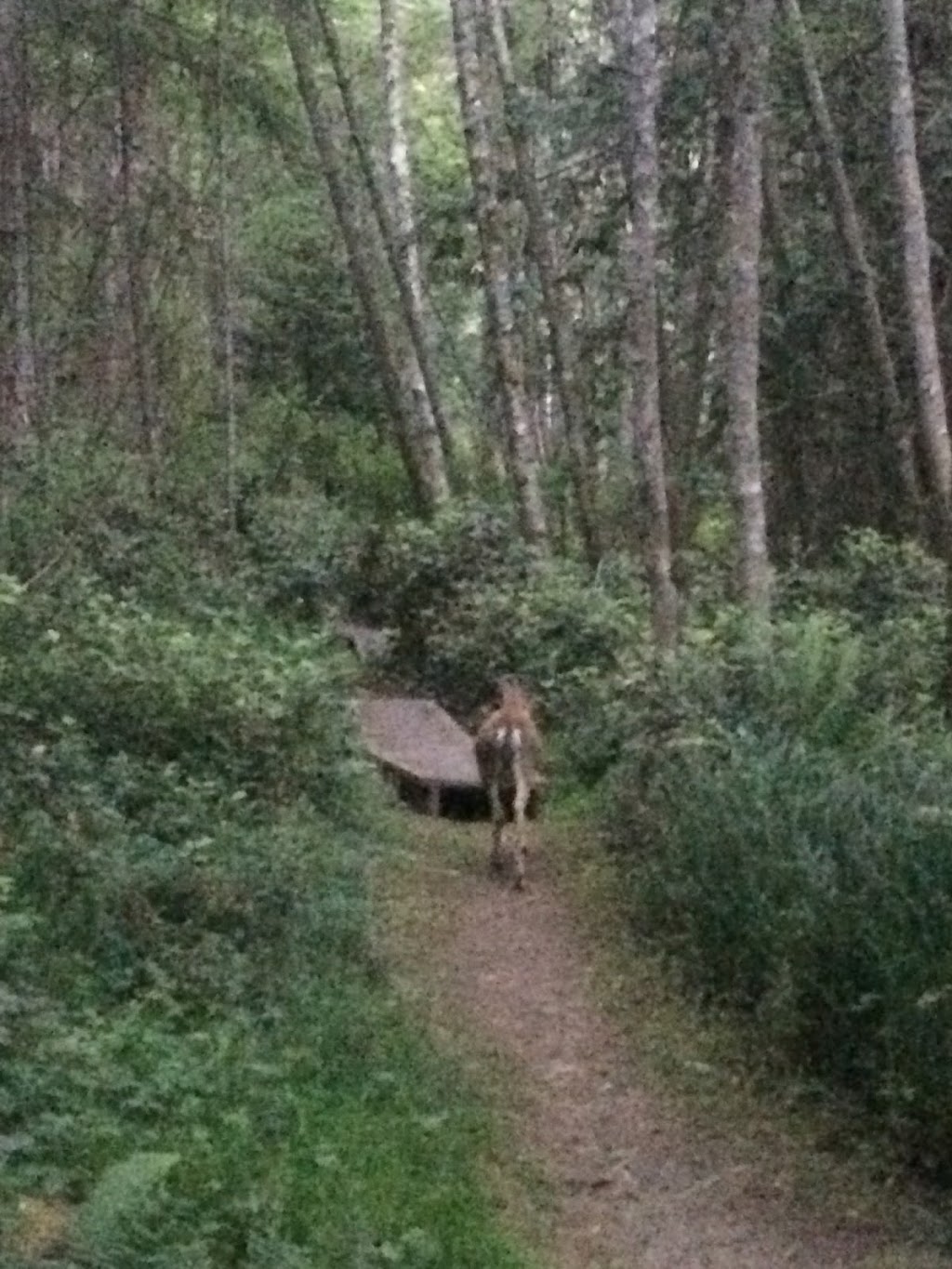 Capstan Lane Park | Pender Island, BC V0N 2M2, Canada