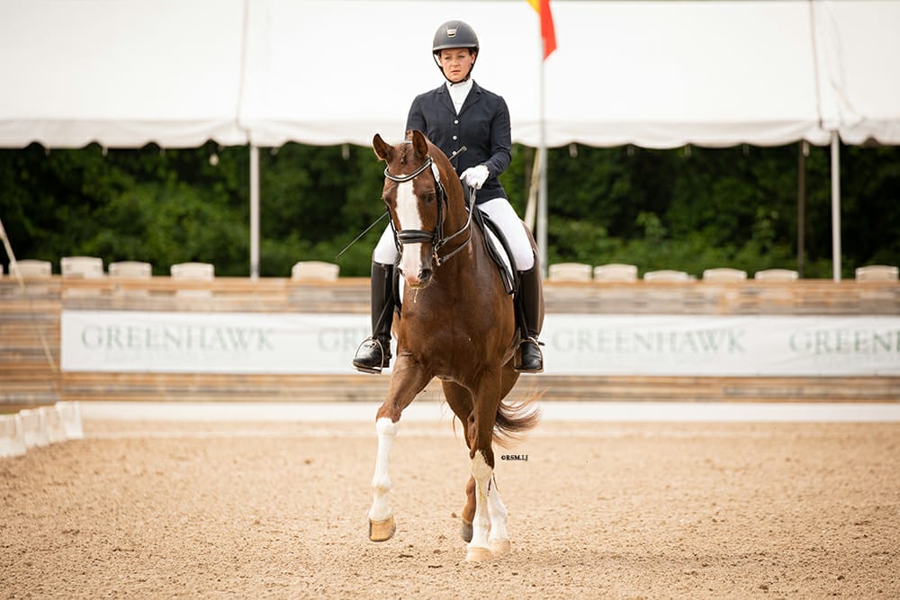 Nicole Stella Dressage | 8285 Guelph Line, Milton, ON L0P 1B0, Canada | Phone: (905) 220-1298