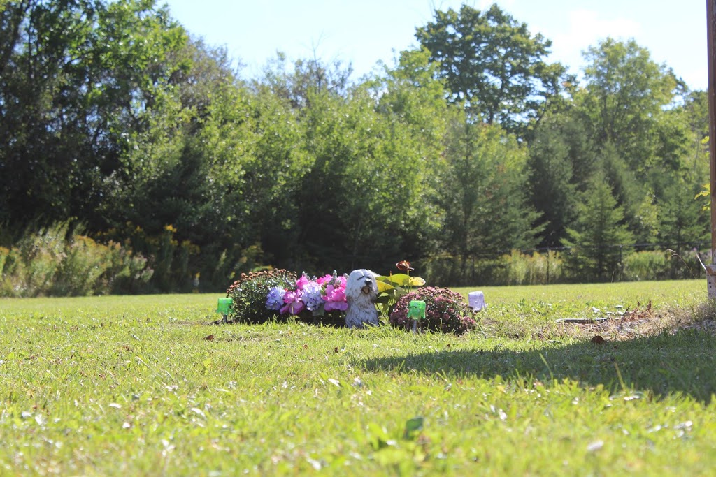 SUNSHINE Pet Memorial Services | 5951 ON-6, Guelph, ON N1H 6J2, Canada | Phone: (519) 787-3886