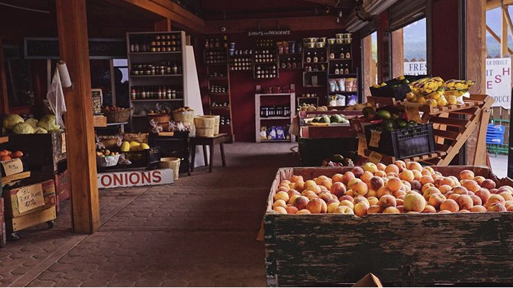 Hopkins Harvest : The Hot Spot | 1645 BC-95, Windermere, BC V0B 2L2, Canada | Phone: (778) 526-5162