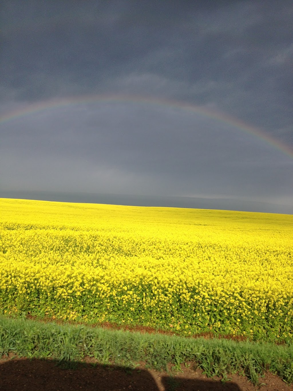 Midland Colony | Range Rd 151, Purple Springs, AB T0K 1X0, Canada | Phone: (403) 223-8125