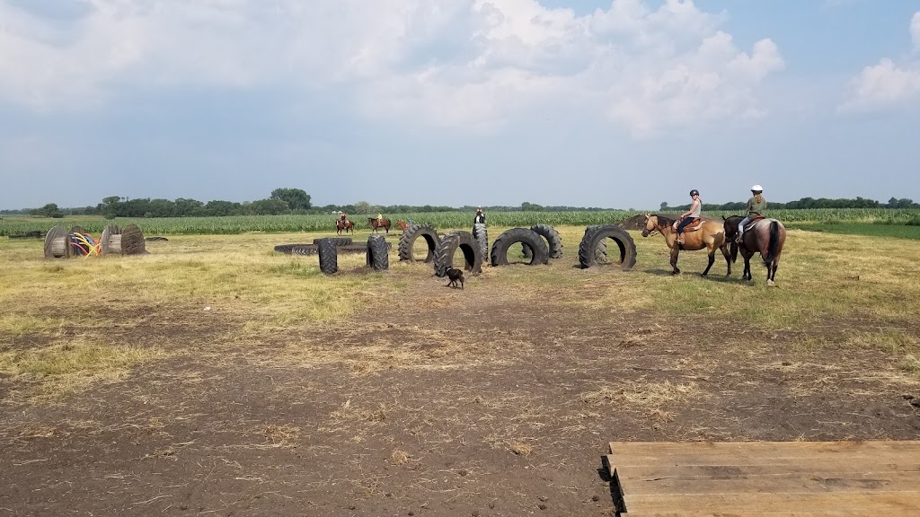 Dustyridge Equine Centre | Osterwick St S RR 1, Osterwick, MB R6W 4A1, Canada | Phone: (204) 362-4075