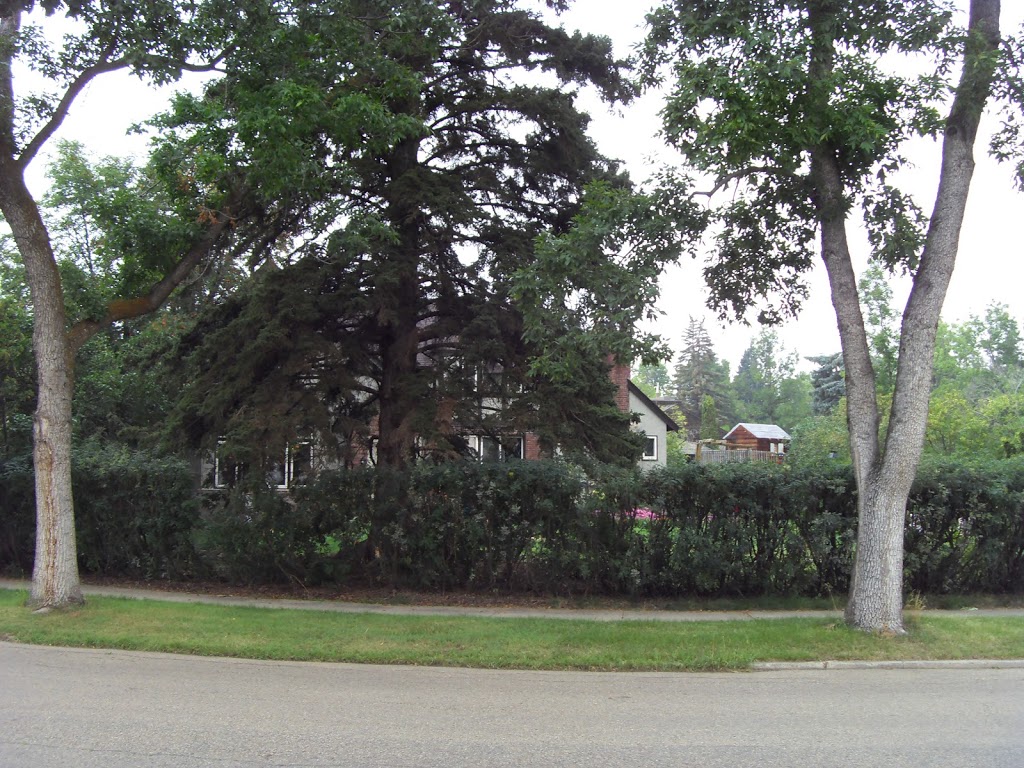 MacKinnon Food Forest | River Valley Capitol Hill, Edmonton, AB T5N 3M7, Canada