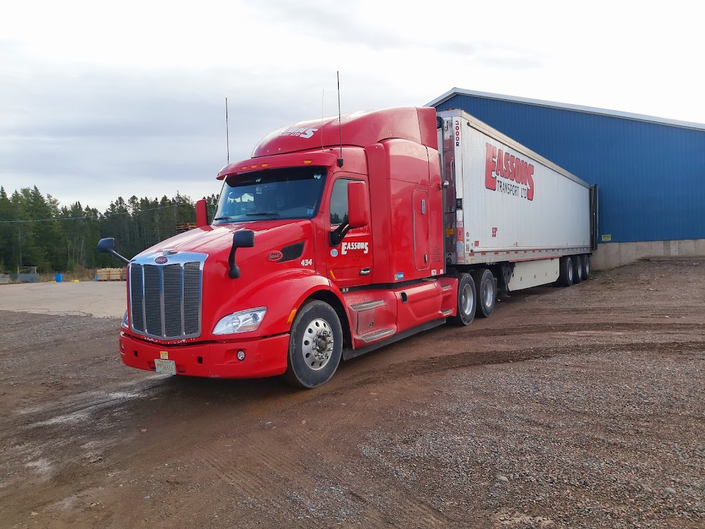 Millen Farms Ltd | 80 Little Dyke Rd, Great Village, NS B0M 1L0, Canada | Phone: (902) 662-3848