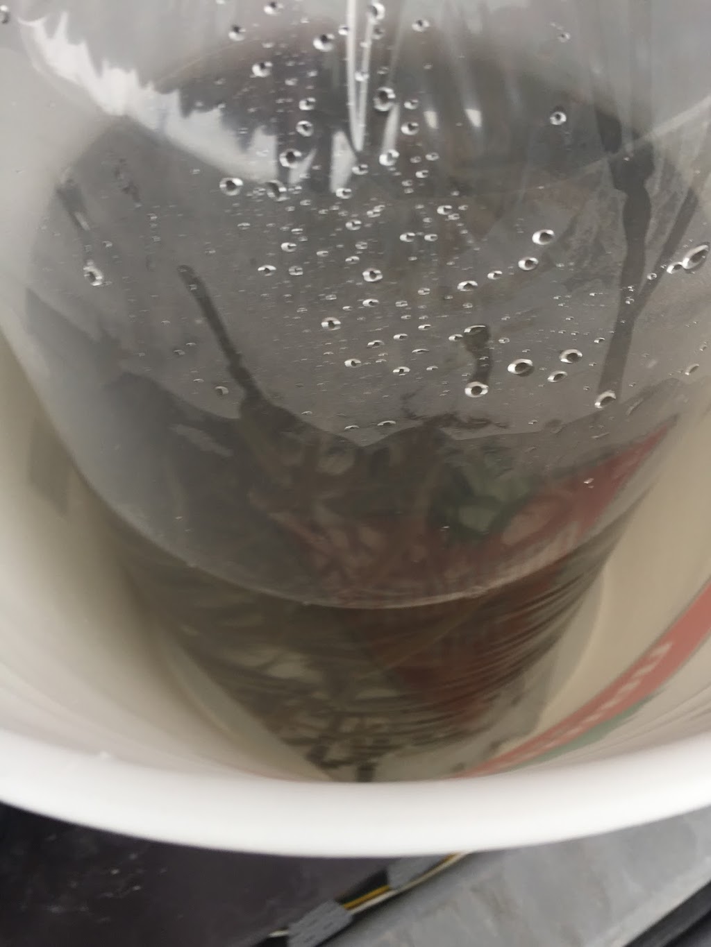 Tyler and sons bait | 10085 511, White Lake, ON K0A 3L0, Canada | Phone: (613) 316-4783