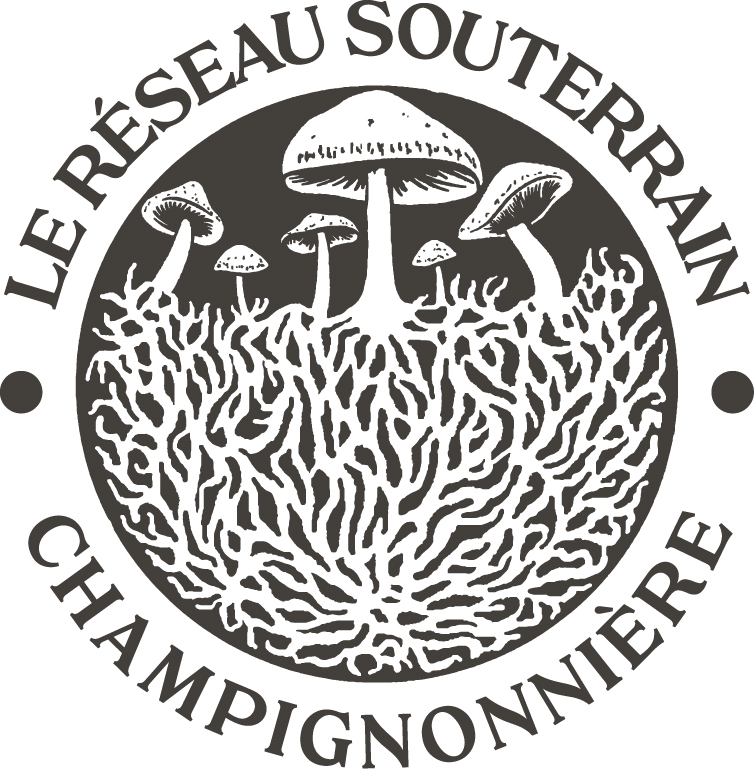 Le Réseau Souterrain - Champignonnière | 2845 Chem. Glenday, Sherbrooke, QC J1M 0C2, Canada | Phone: (873) 552-2005