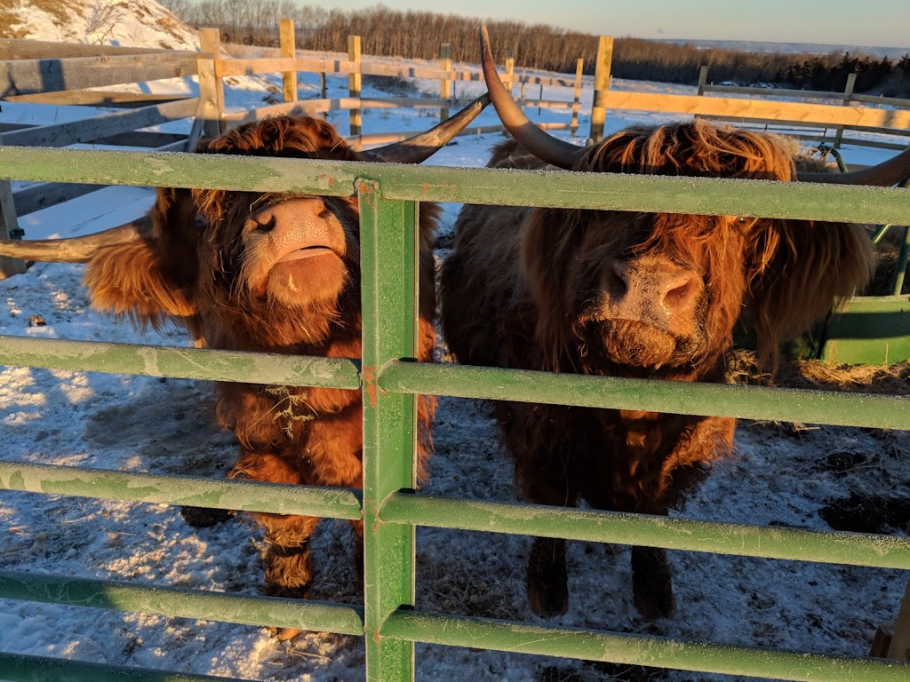Robertsons farm | 754 Canaan Mountain Rd, Kentville, NS B4N 4K1, Canada | Phone: (902) 993-0059