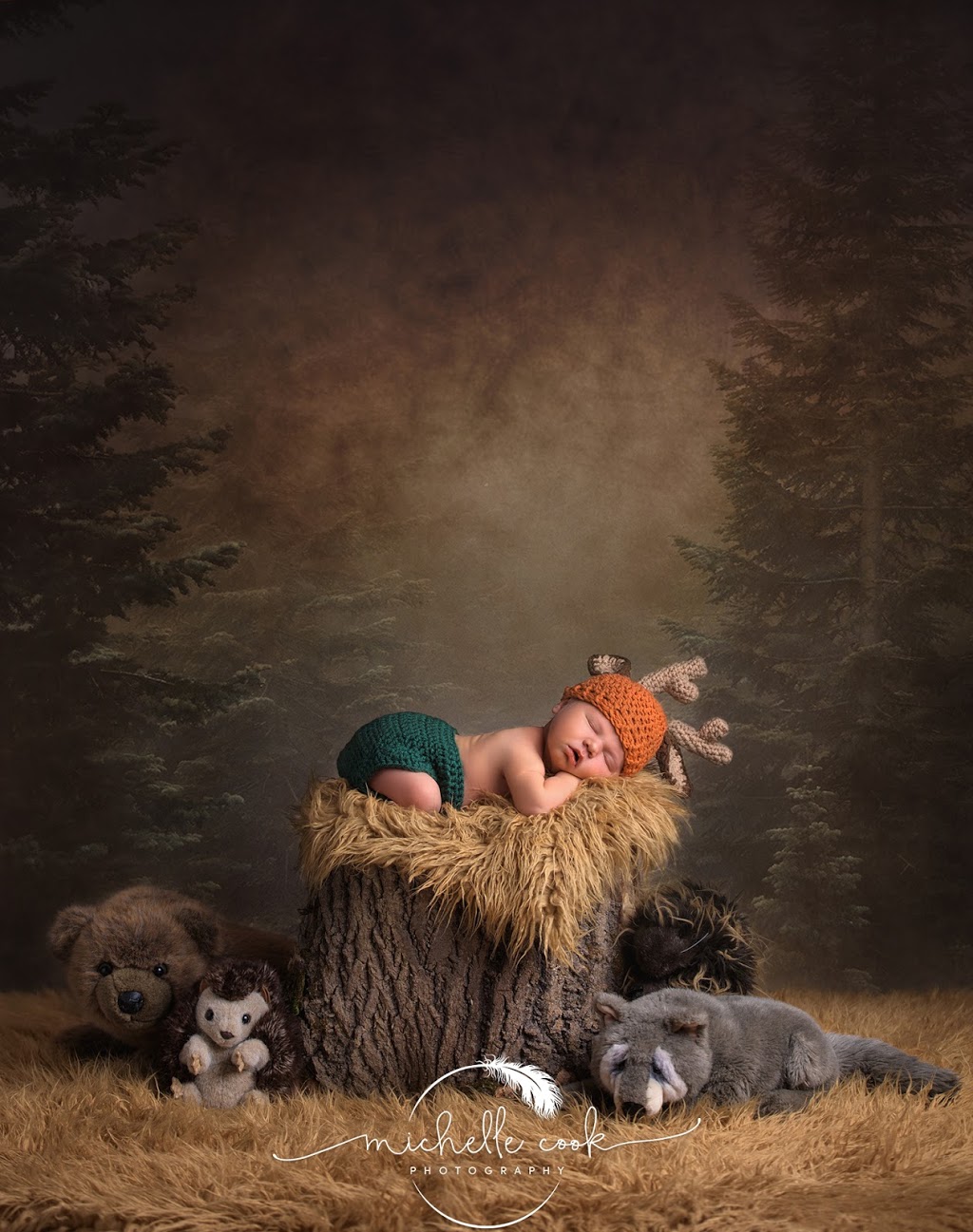 Michelle Cook Photography | 14150 Kaufman Rd, Capac, MI 48014, USA | Phone: (810) 304-5358