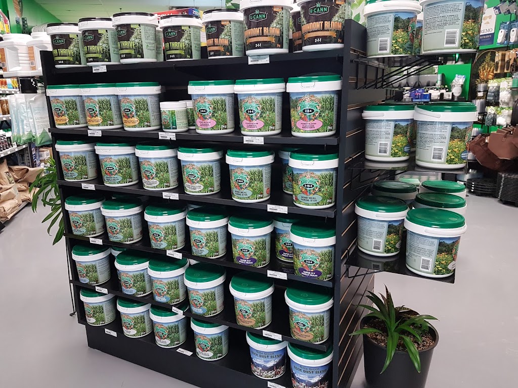 Tree of Life Inc. | 376 Kingston Rd, Pickering, ON L1V 6K4, Canada | Phone: (647) 560-9399