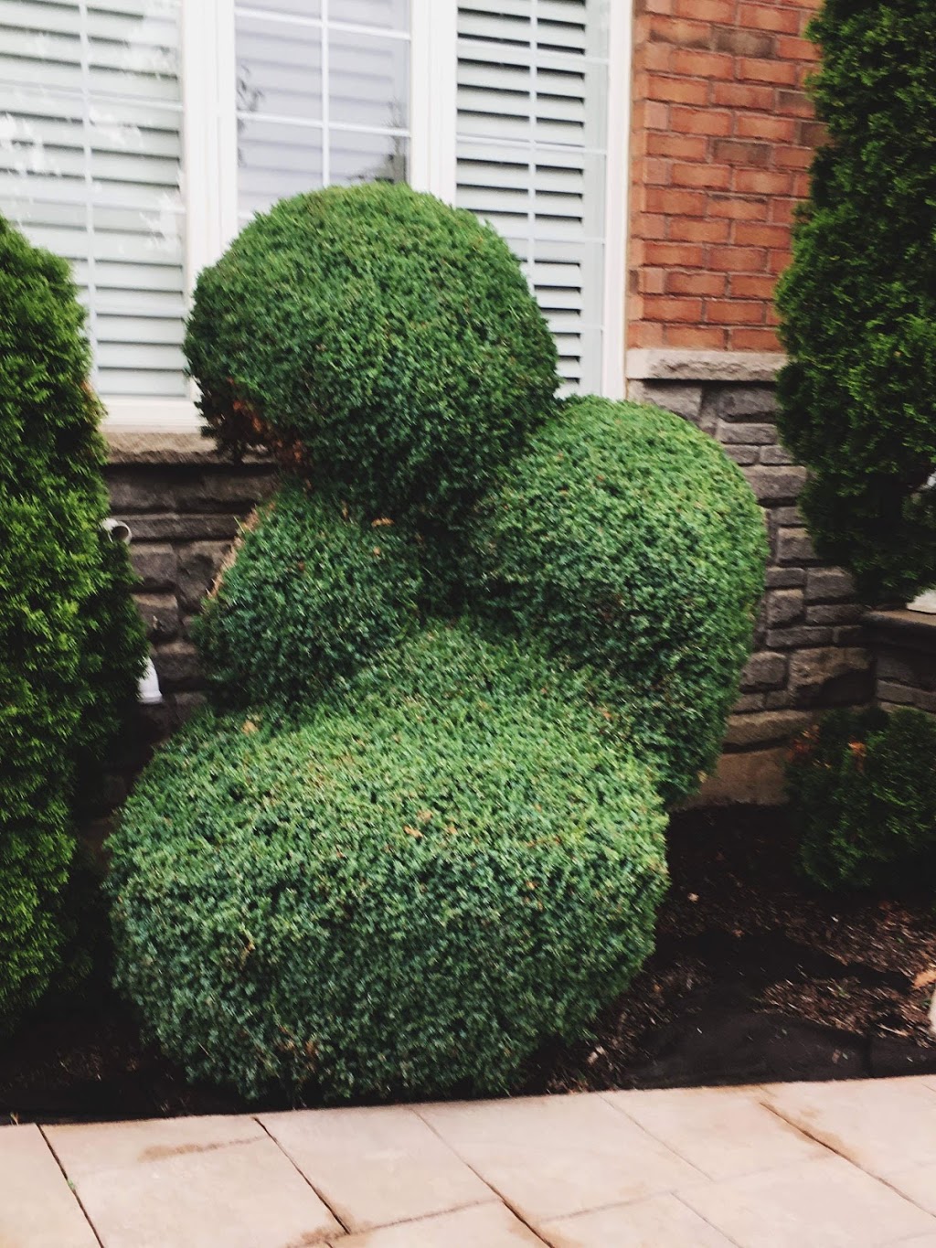 All Canadian Lawn Care | 333329 7 Line, Amaranth, ON L9W 0K8, Canada | Phone: (519) 939-7273