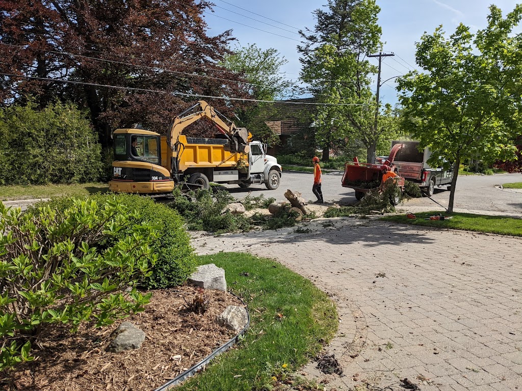 Armour Hill Tree Care | point of interest | 224 Munroe Ave, Peterborough, ON K9H 1H8, Canada | 7059312517 OR +1 705-931-2517