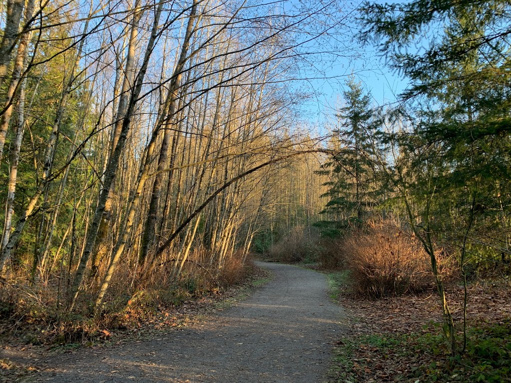 Green Timbers Park | 14600 100 Ave, Surrey, BC V3V 7Z2, Canada | Phone: (604) 501-5050