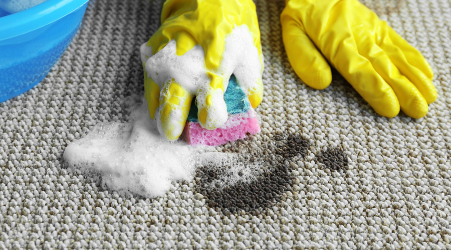 Pamir Carpet Cleaning | Toronto | 14 Camperdown Ave, Etobicoke, ON M9R 3T4, Canada | Phone: (416) 727-3597