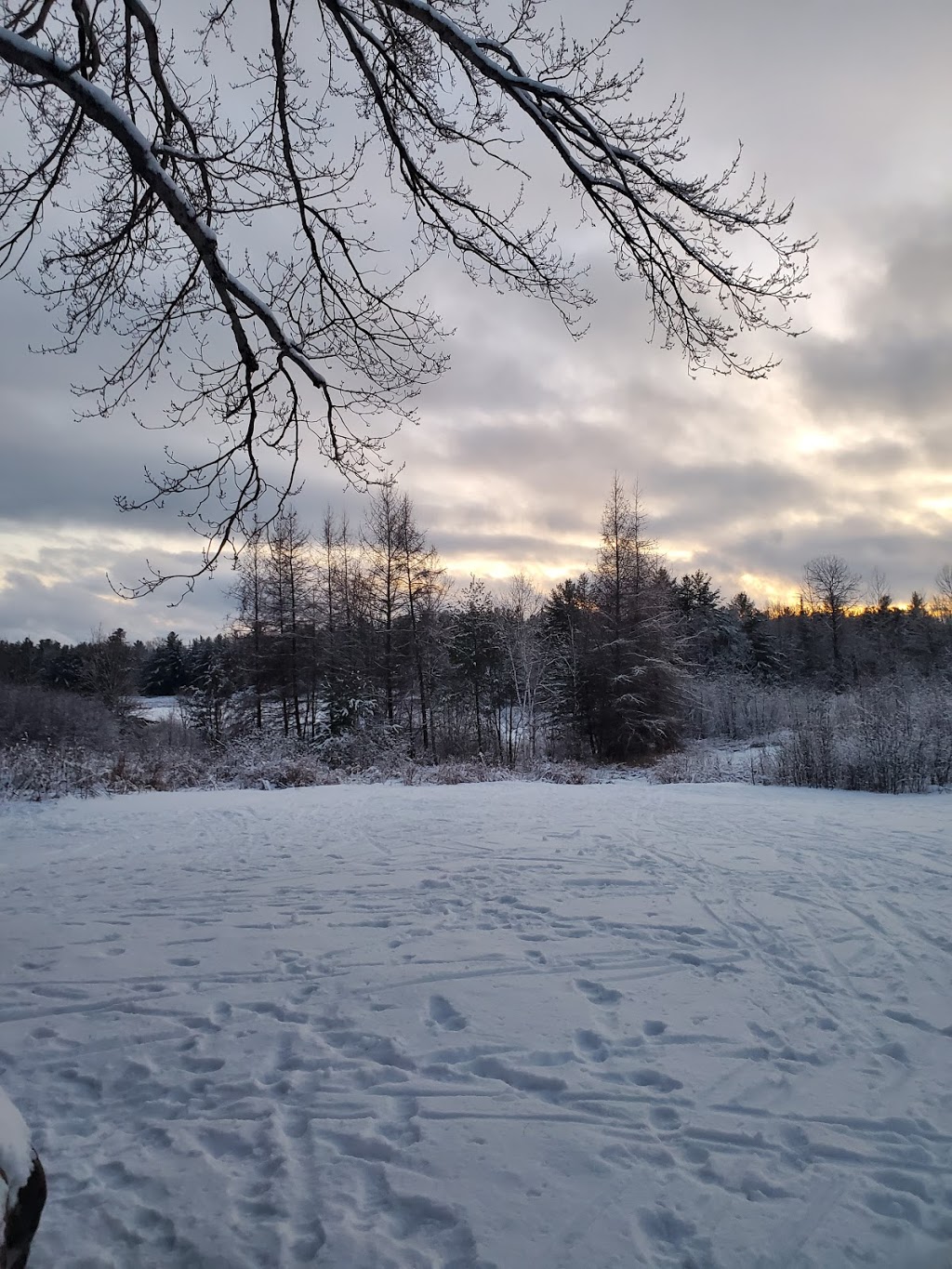 Great Moose Adventures | 1368 Houseys Rapids Rd, Gravenhurst, ON P1P 1R3, Canada | Phone: (705) 687-3903