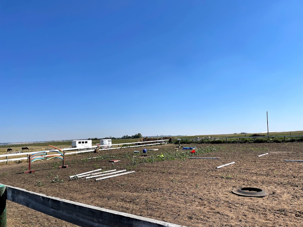 Mane Stage Stables | 232045 Range Road 250 Intersection of Township Rd 232 and, Range Rd 250, Carseland, AB T1P 0N6, Canada | Phone: (403) 689-2048
