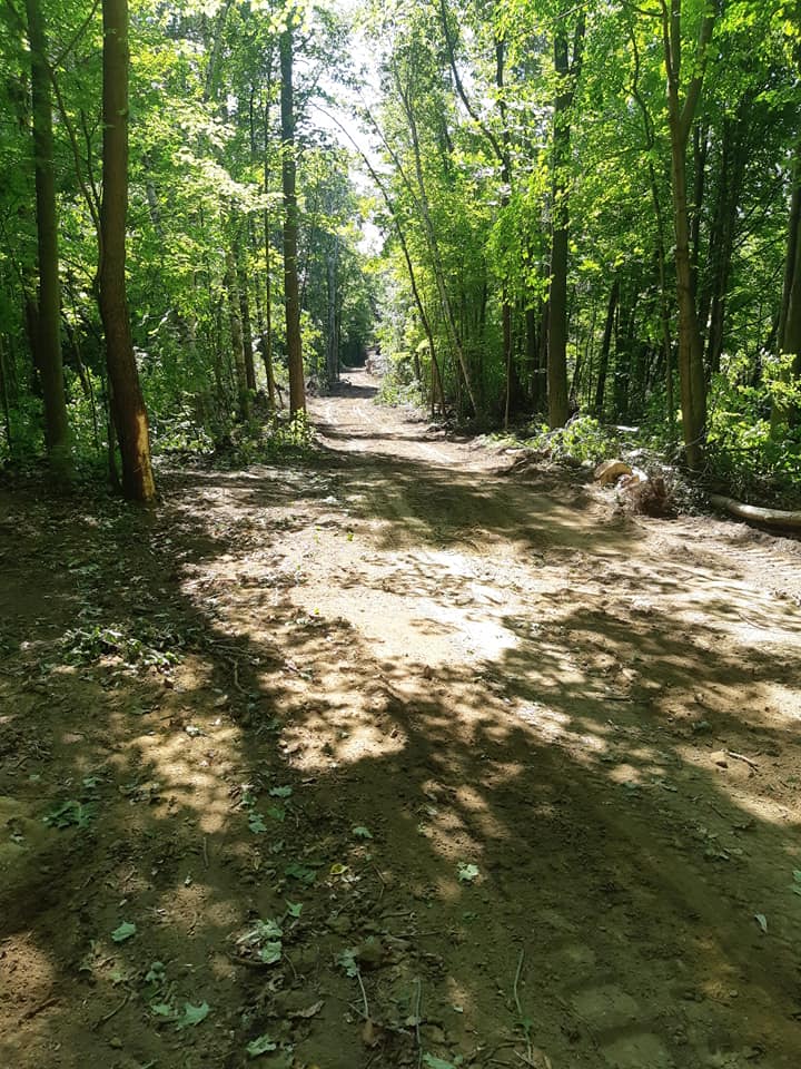 Leclair Forestry Services | Lazier Rd, Belleville, ON K8N 4Z6, Canada | Phone: (888) 917-9663