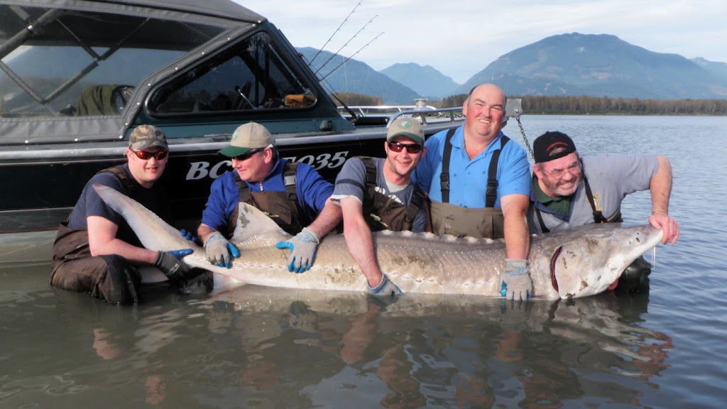 Aquaventures Guided Fishing Tours | 6260 Edson Dr, Chilliwack, BC V2R 4C2, Canada | Phone: (866) 867-3474