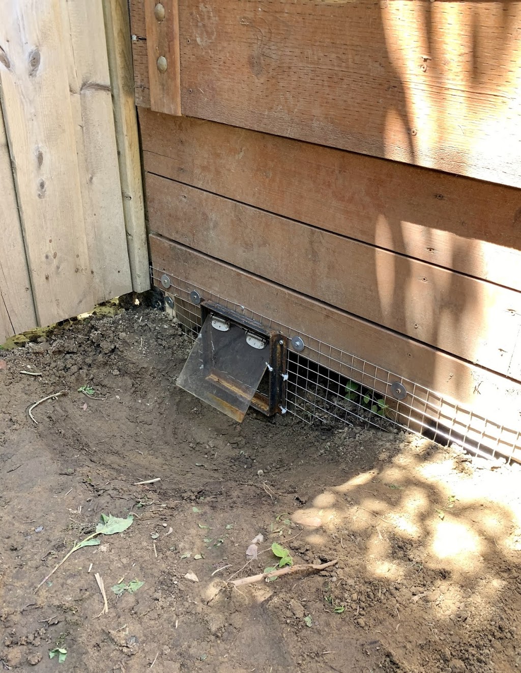 Craig Wildlife Control | 69 Lake Shore Dr #3, Etobicoke, ON M8V 1Z5, Canada | Phone: (416) 574-6356