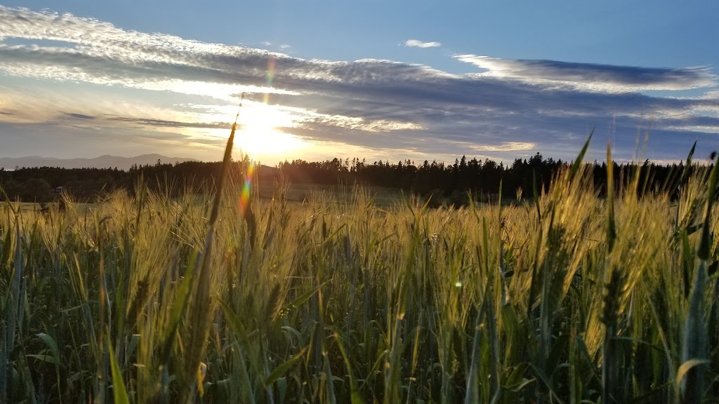 Les Jardins de la Grève | 112 Chem. de la Cinquième Grève E, Rivière-Ouelle, QC G0L 2C0, Canada | Phone: (418) 863-2984