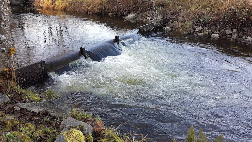 Little Qualicum River Fish Hatchery | 1391 Claymore Rd W, Qualicum Beach, BC V9K 2T6, Canada | Phone: (250) 752-3231