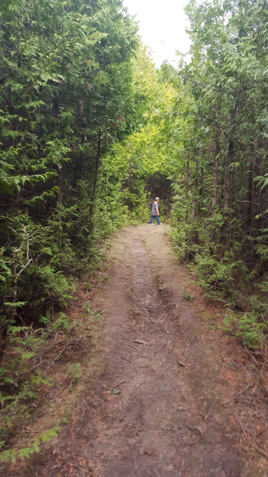 Bannockburn Trail | 76249 Bannockburn Line, Exeter, ON N0M 2R0, Canada
