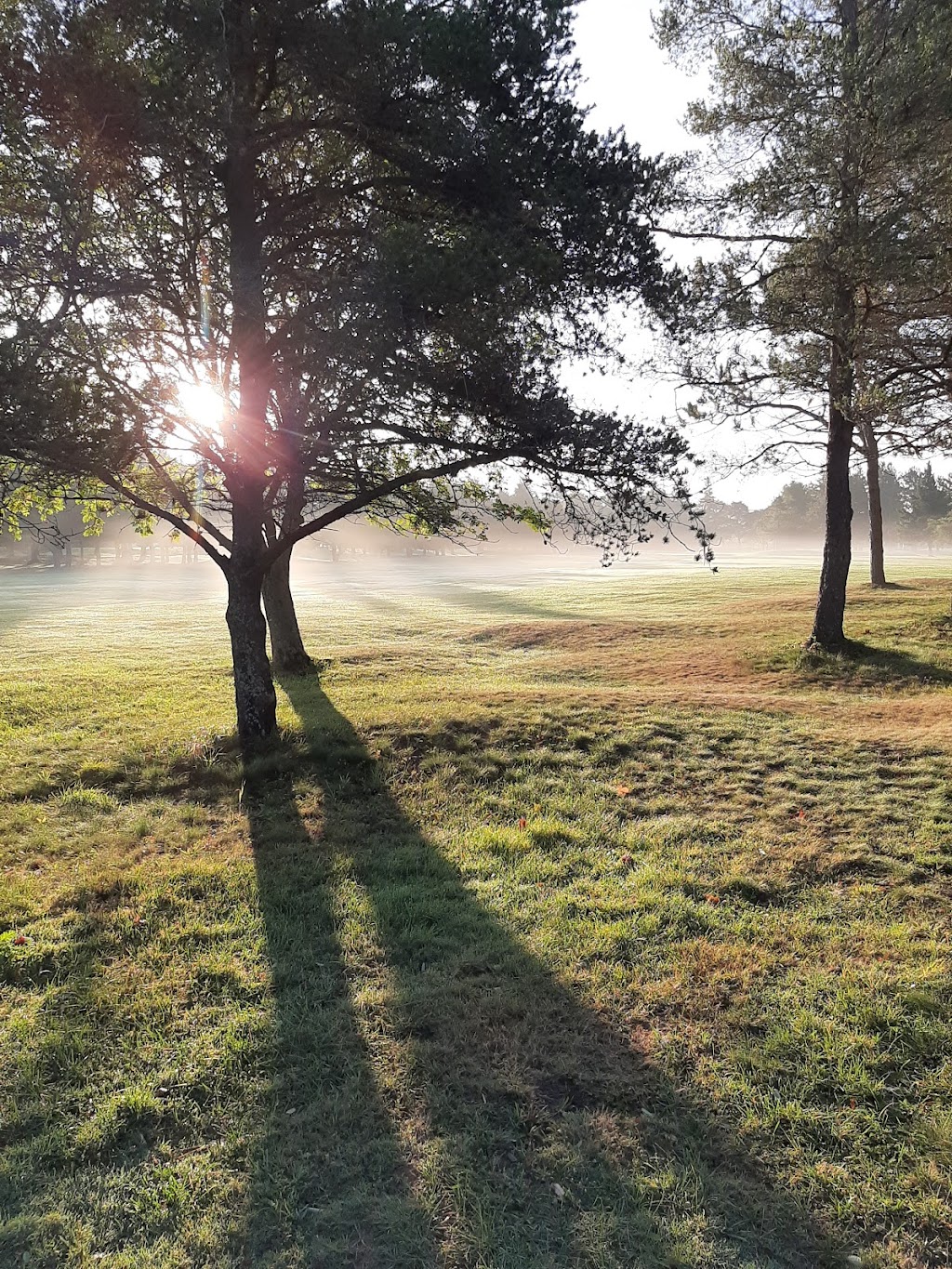 Truro Golf & Country Club | 86 Golf St, Truro, NS B2N 5C7, Canada | Phone: (902) 893-4650