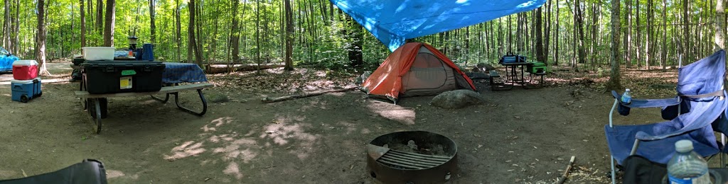 Bear Campground | Tiny, ON L9M 1R2, Canada | Phone: (705) 549-2231