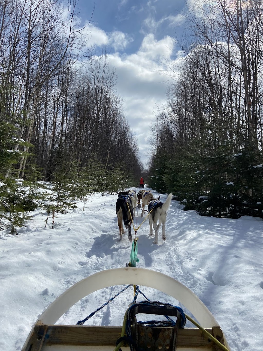 vie davant-ture | 433 Ch de Parent, Mont-Saint-Michel, QC J0W 1P0, Canada | Phone: (819) 587-4784
