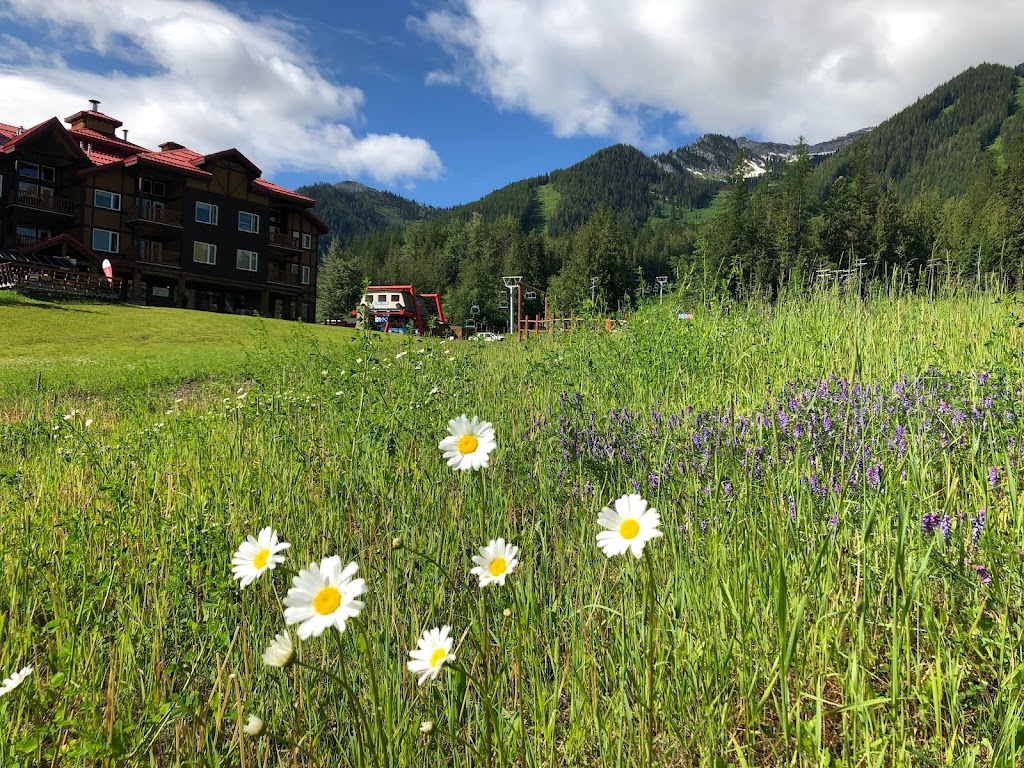 Cornerstone Lodge | 5339 Fernie Ski Hill Rd, Fernie, BC V0B 1M0, Canada | Phone: (888) 423-6855