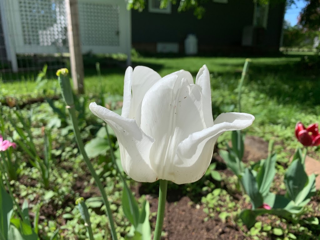 Delft Haus Bed & Breakfast | 1942 Highway 359, Centreville, NS B0P 1J0, Canada | Phone: (902) 678-7077