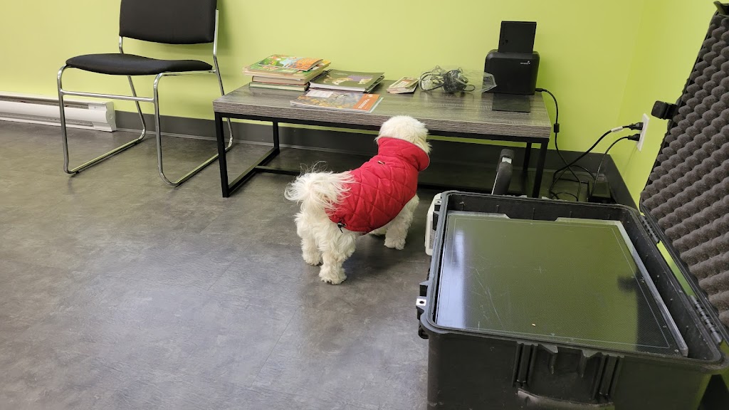 Dr Christine Fortin | 1467 Boul. Sainte-Geneviève, Chicoutimi, QC G7G 2H2, Canada | Phone: (418) 545-3773