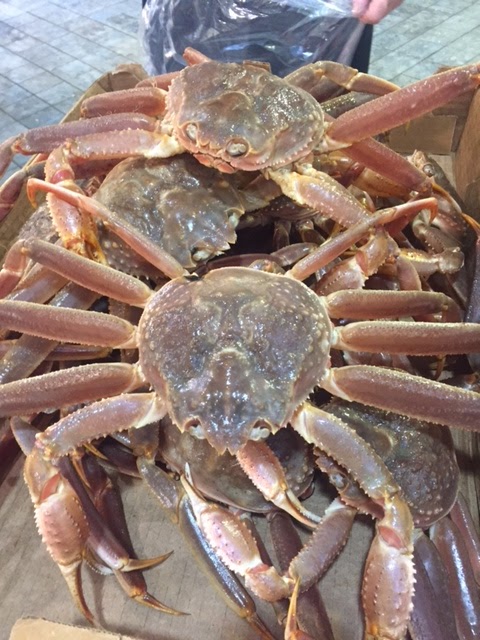 Odessa Poissonnier | 7500 Bd des Galeries dAnjou, Anjou, QC H1M 3M4, Canada | Phone: (514) 355-4734