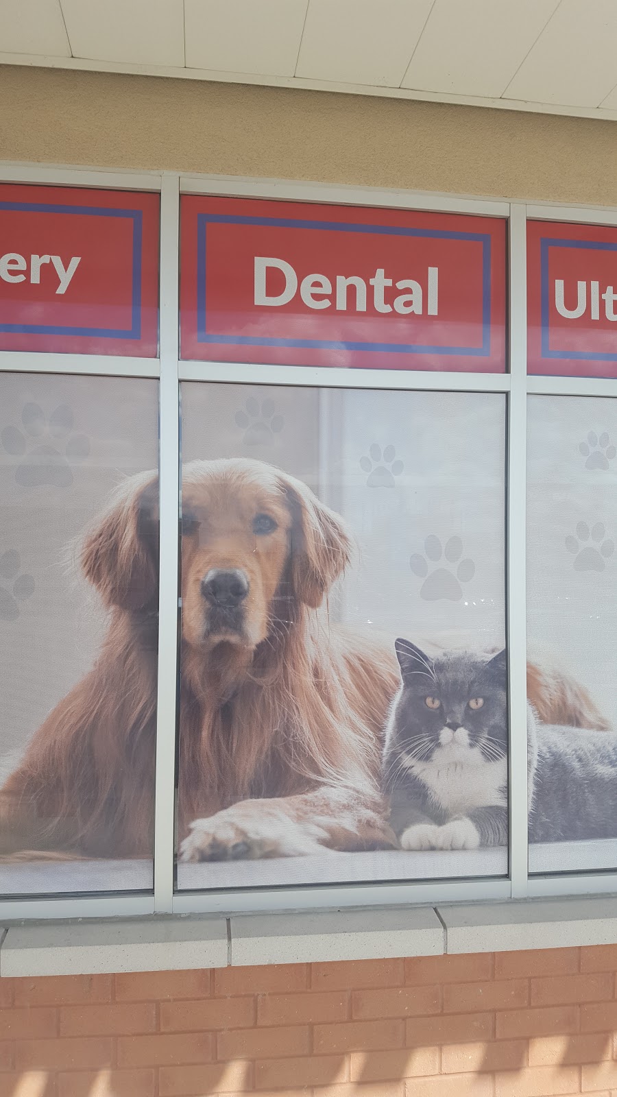 Rutherford Road & Hwy 400 Animal Hospital | 3120 Rutherford Rd, Vaughan, ON L4K 0B1, Canada | Phone: (905) 879-1616