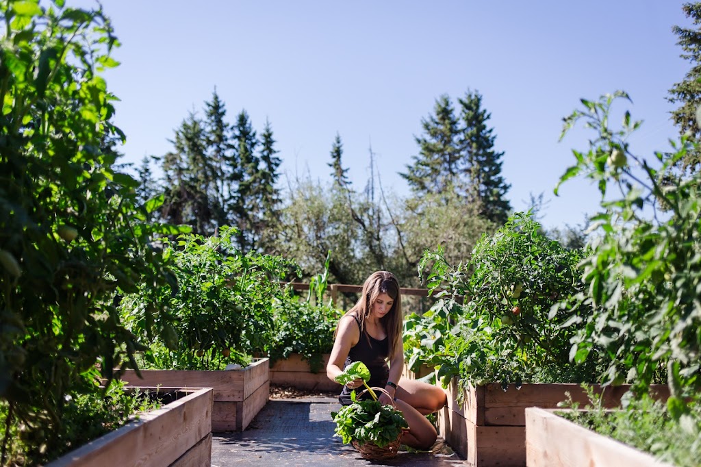 Schatzys Homemade and Homegrown | 57025, Range Rd 31, Gunn, AB T0E 1A0, Canada | Phone: (780) 268-1722