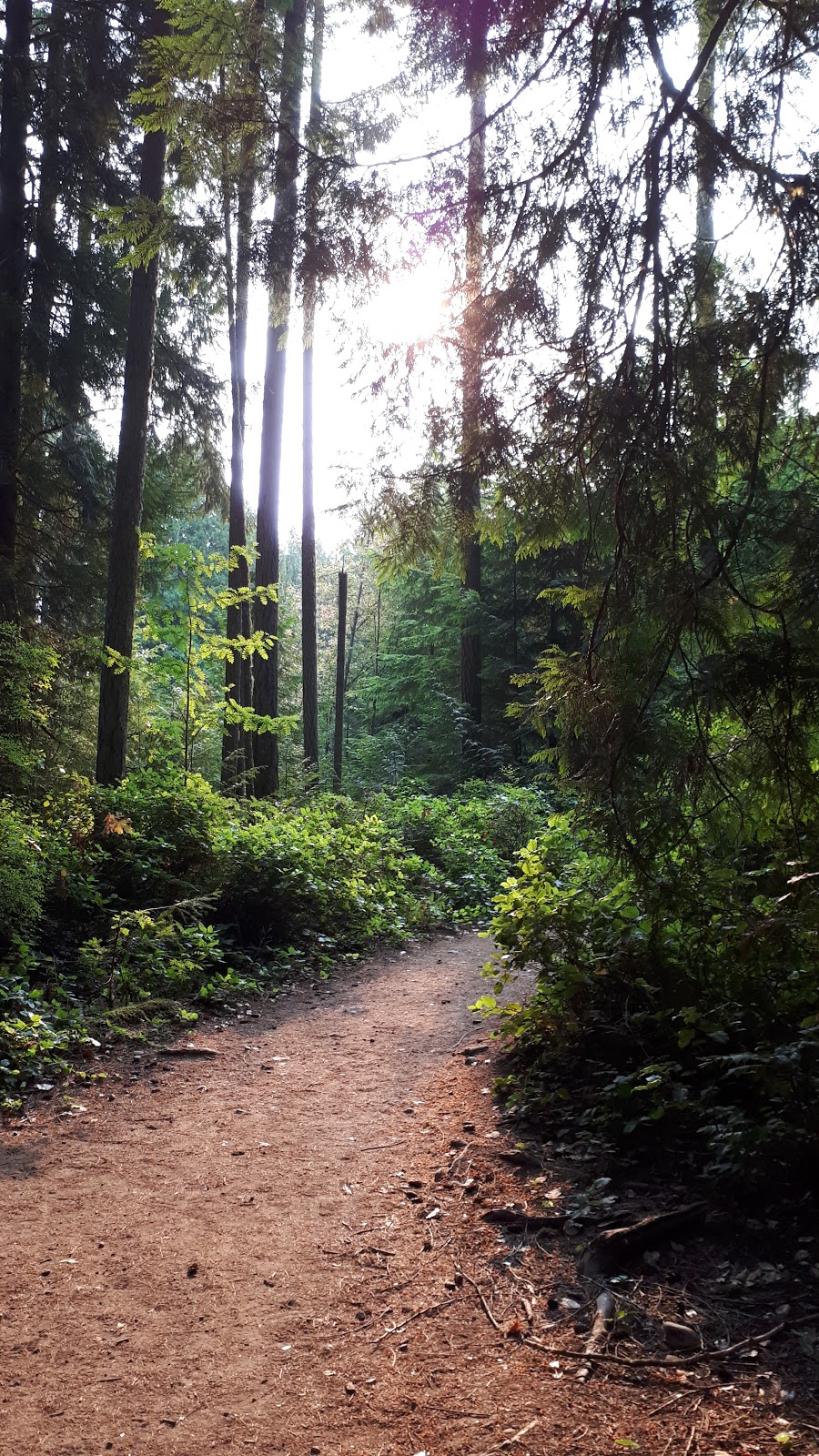 Cobble Hill Mountain Regional Recreation Area | Cowichan Valley B, BC V0R 1L5, Canada | Phone: (250) 746-2620